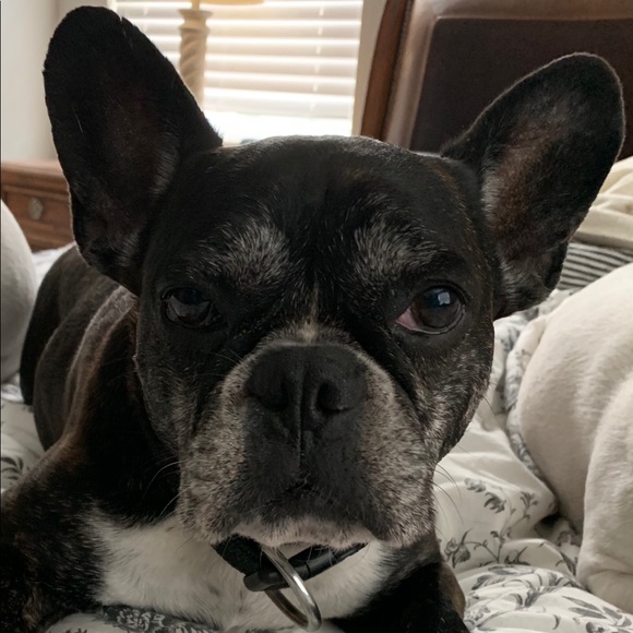 Meet your Posher, Tammy - Picture 5 of 8